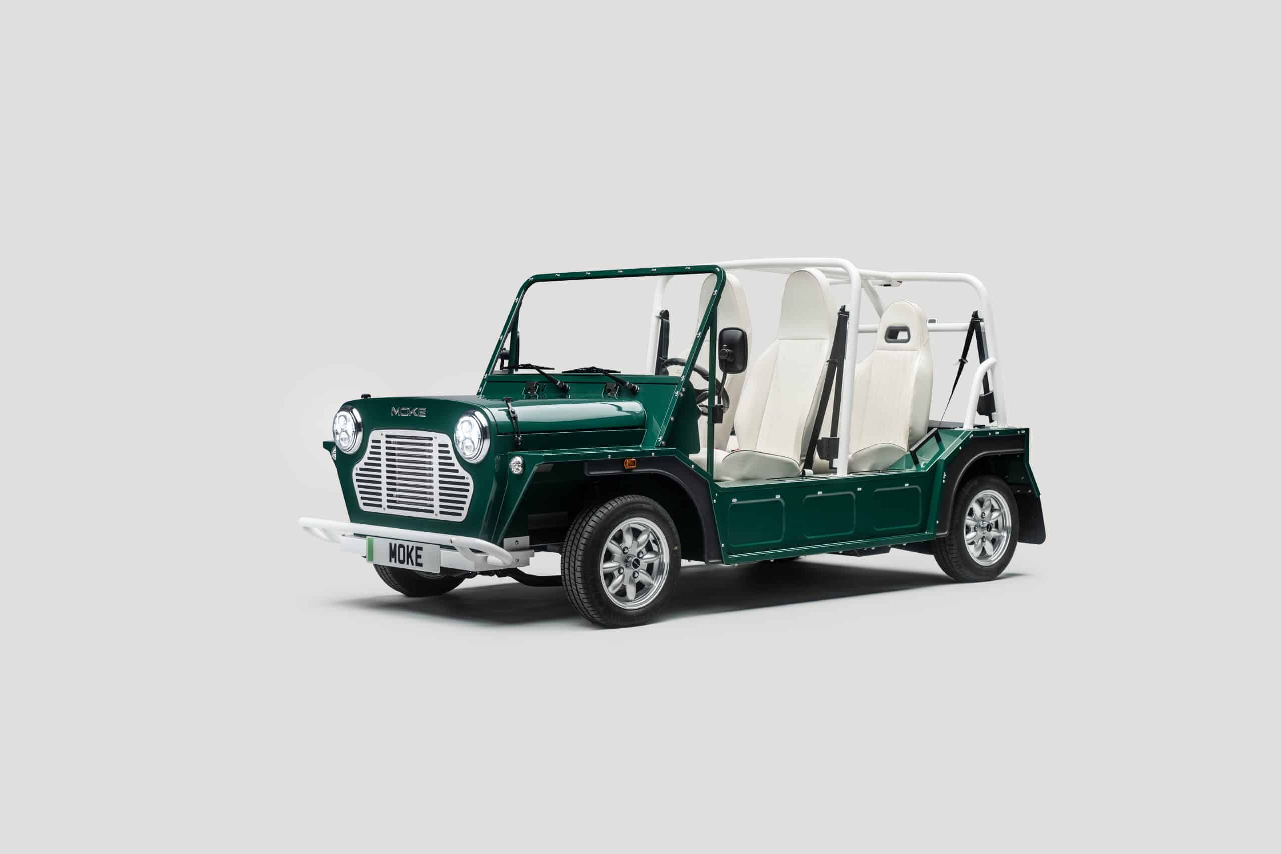 MOKE Palm Green
