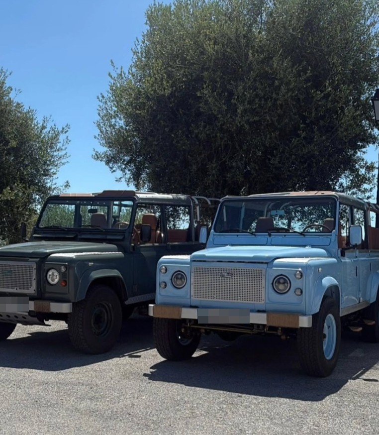 Deux Land Rover Defender restaurés, vert anglais et bleu ciel, garés sous les oliviers