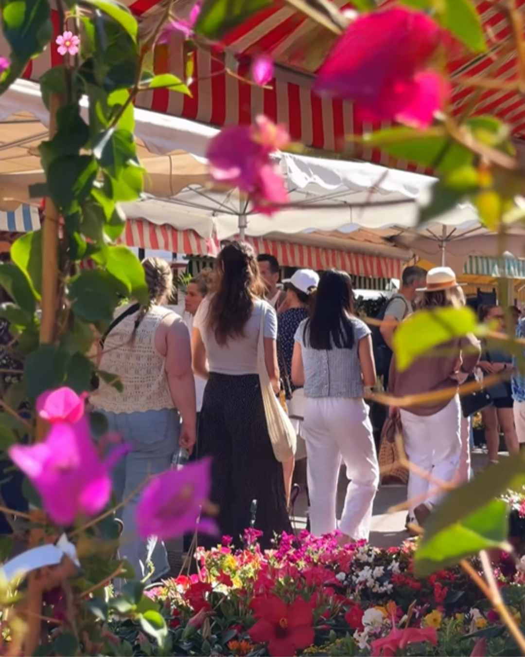 Blomstermarkedet på Cours Saleya i Nice