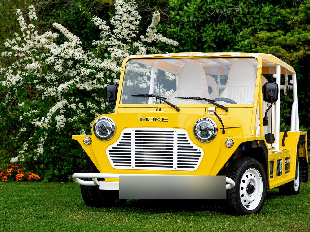 Moke électrique d'occasion Sunlight Yellow de 2025, vue de face devant un massif fleuri