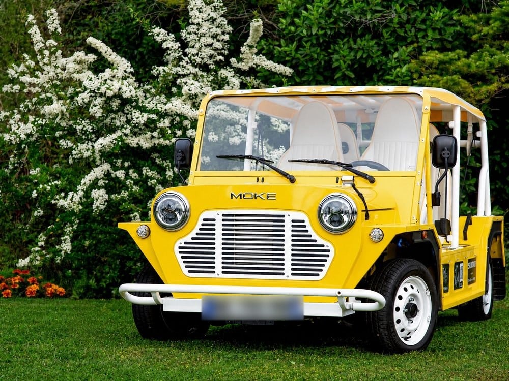 Moke électrique d'occasion Sunlight Yellow de 2025, vue de face devant un massif fleuri